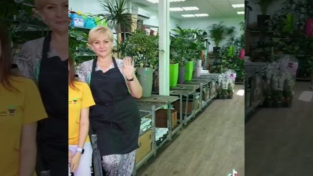 Редкие растения.  Отправка почтой по России.