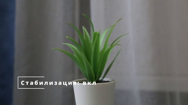 Работа стабилизатора в объективе Canon EF 24-105mm f/4L IS USM
