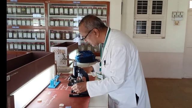 Determination of fibre length in a cinchona powder by Ravindra Kardi KLE college of pharmacy.