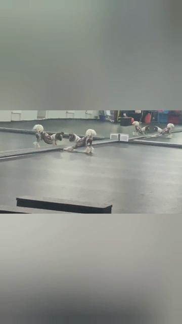 Джеймс и его новый друг
