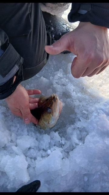 ОТМЕТИЛИ ДЕНЬ СВЯТОГО ТРИФОНА