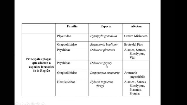 Undésima clase Introducción a la Entomología y Zoología Agrícola (FCF-UNaM). Clase 11 (15/10/2020)