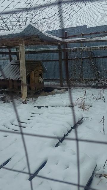 Продолжение утреннего обхода.