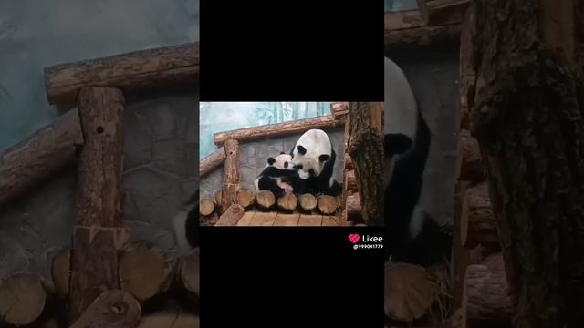 1000013222.mp4