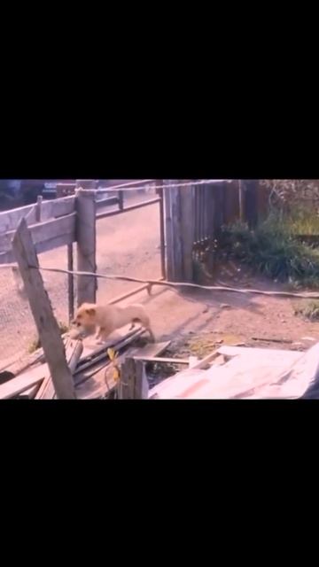🌿 Юмор который просто есть

https://t.me/Qubitics