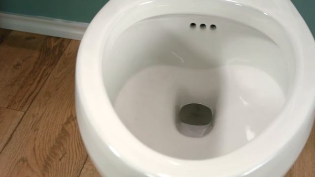 Toilet with Overflow - American Standard Mainstream WaterWarden