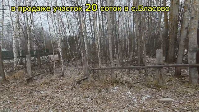 участок Власово 20 соток дима