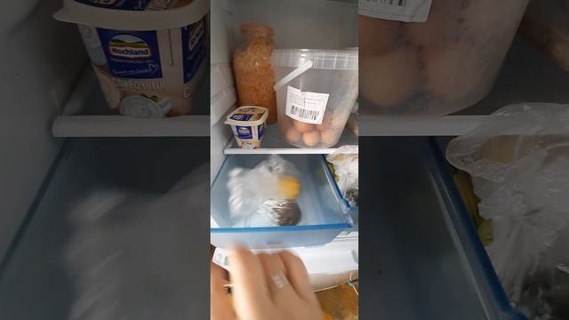 Заготовки продуктов для похудения