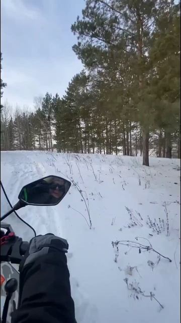 Irbis SF-200 vs Александра