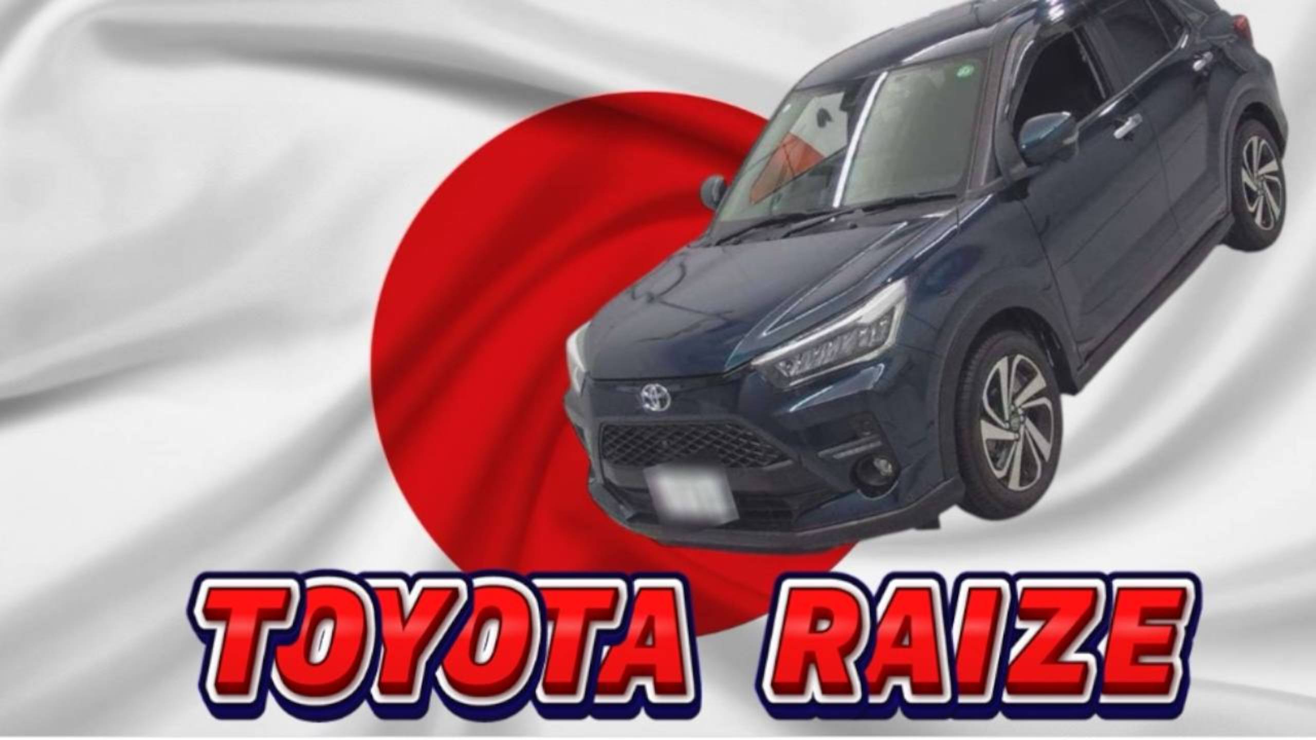 Забрали с СВХ TOYOTA RAIZE