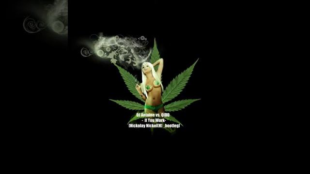 DJ Antoine vs. QIDD -  If You Work [Nickolay Nickel(H)_bootleg]