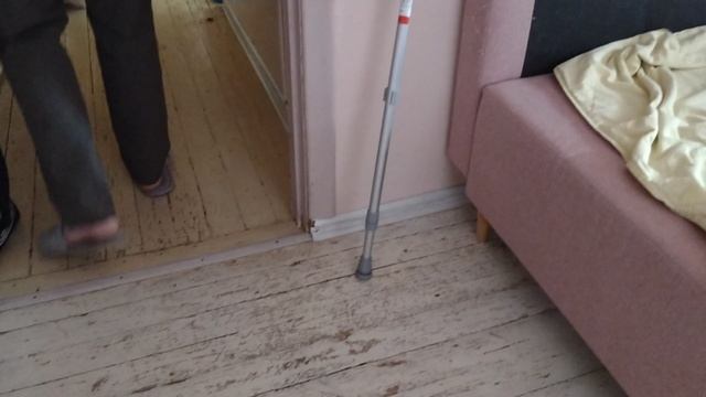 Бедный котенок получил взбучку от кошки