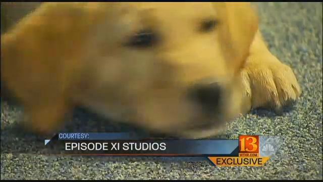 Convicted killer now trains service dogs in honor of young victim
