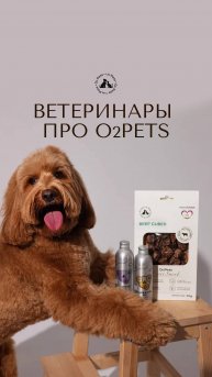 При выборе питания и добавок для питомцев важно учитывать мнение специалистов