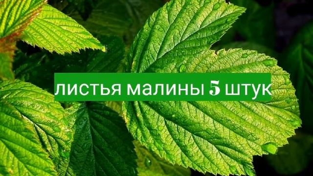 Мёд мультивитаминный/ фитомёд