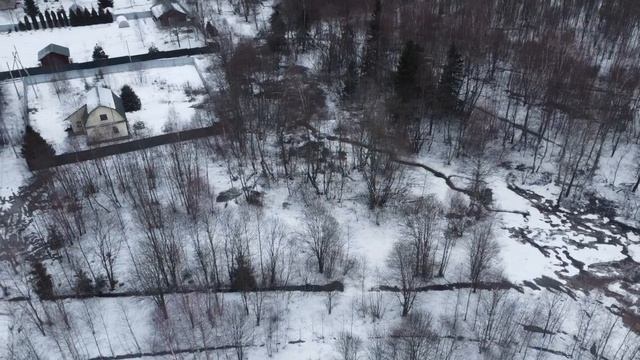 Копытцево 964