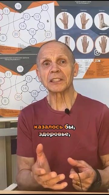 Рекомендации по сыроедению и вегетатерианству. Культура питания