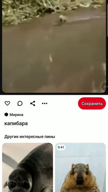 Немного милоты вам в реки﹤3