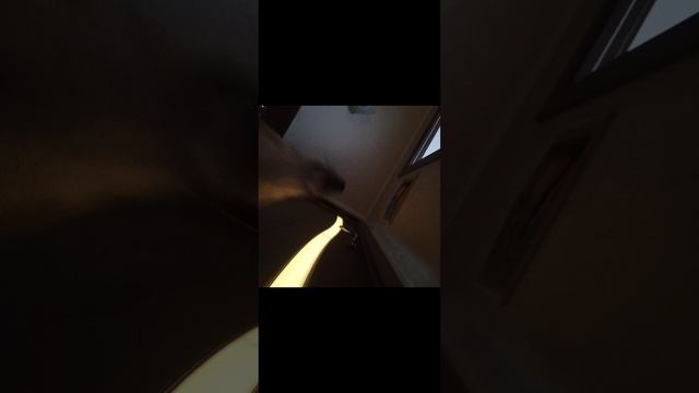 ХААХАХАХАХА Фурия 1 сезон 2 серия помощ пазику