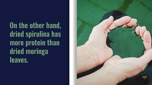 Moringa vs Spirulina | Battle of the Superfoods | Benefits of Moringa | Benefits of Spirulina