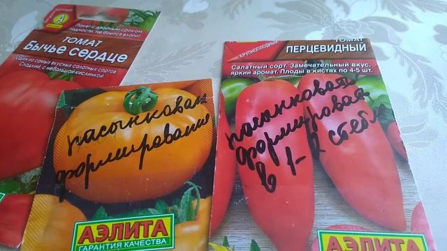 Томаты Бычье сердце,Перцевидный и Хурма 🍅😁