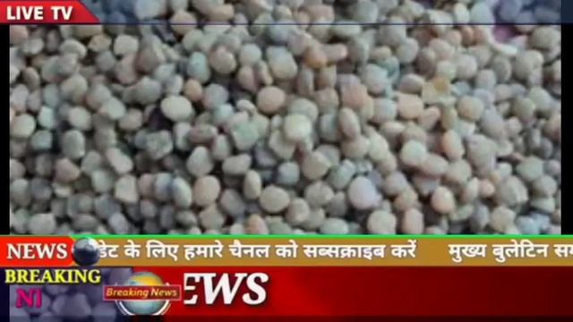 18 September 2022,Guar ka taza bhav aaj ka.Guargum ka taza bhav.Anaj mandi me aaj guar ka taza
