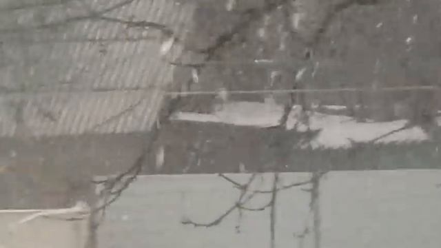 Снег. 14.02.2012.