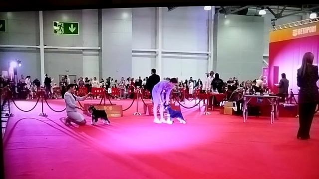1000023708.mp4