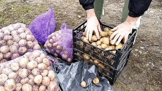 Хозяйственные хлопоты. Гуляем с внучками.