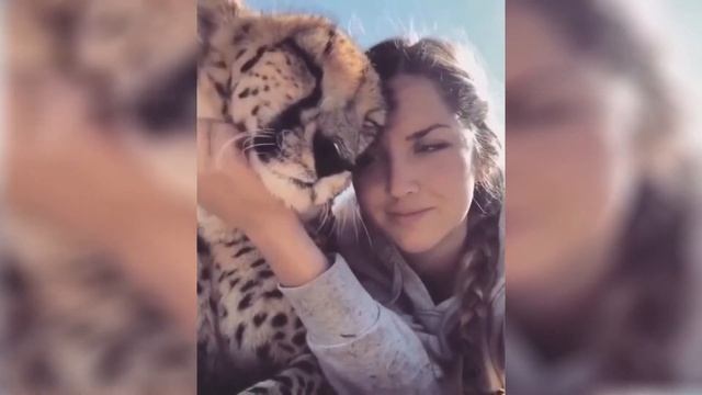 САМЫЕ МИЛЫЕ ВИДЕО С КОТИКАМИ | THE CUTIEST KITTEN VIDEOS #12