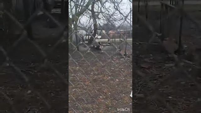 всех  с праздником! Счастья вам, девочки🥰