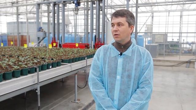 Вкалывают роботы, а не человек…