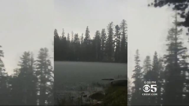 Family Survives Getting Struck By Lightning In Sequoia National Forest