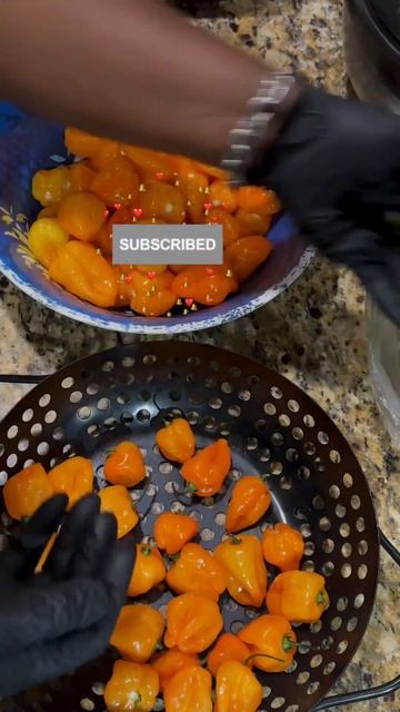 Prepping Habanero Peppers Safely #100shorts2024 #habanero #youtubemadeforyou #shorts #foodprepping