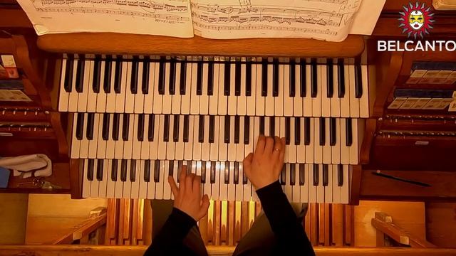 Аве Мария. Орган и голос