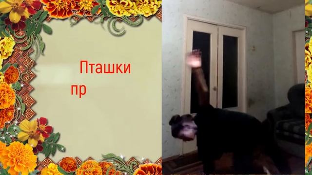 Проект "Мова - ДНК нації": Танцювальні скоромовки