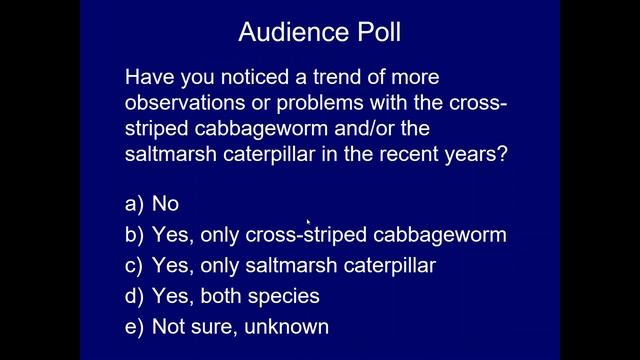 Brassica Pest Collaborative: Imported cabbageworm and Cross striped cabbageworm