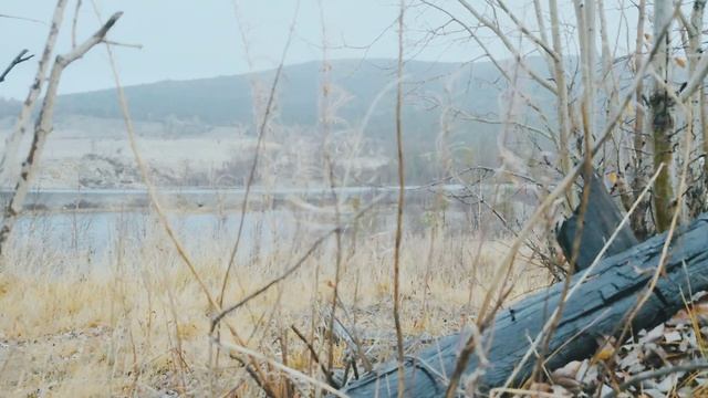 ASMR | Тростники | Трасса М-18 | Дождь