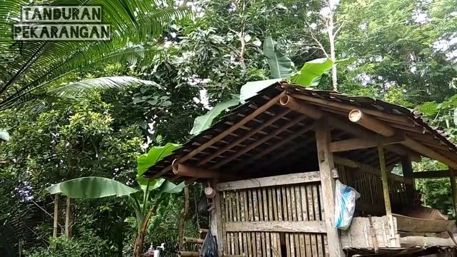 Evaluasi Hasil Aplikasi Jakaba pada Pohon Mangga dan Pohon Jeruk