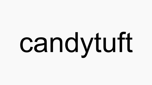 How to pronounce candytuft