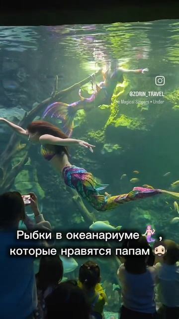 🧜🏻♀️Самый ТОПовый океанариум в России!
#океанариум #дайвинг #синхронноеплавание #рыбки