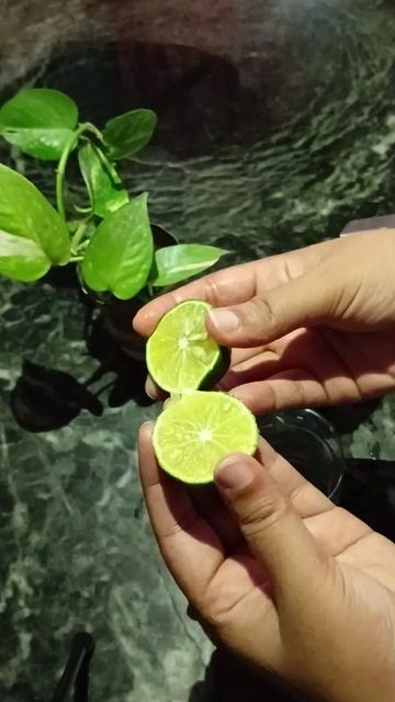 5 min m banaen nimbu ka sharbat 🍋| summer drink 🍷#short #viral