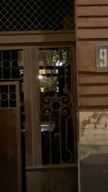 В Ростове-на-Дону неизвестные похитили исторические перила и дверь из дома XIX века на Шаумяна, 96.