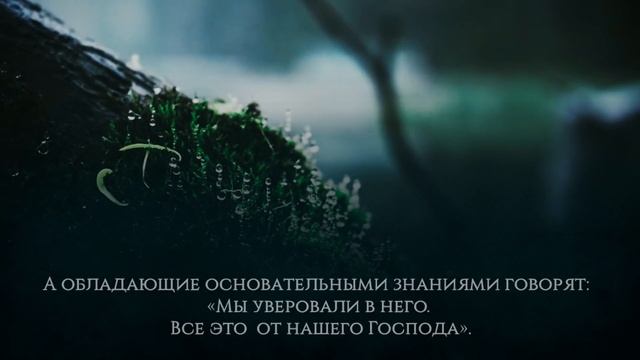 Красивое чтение Корана.mp4