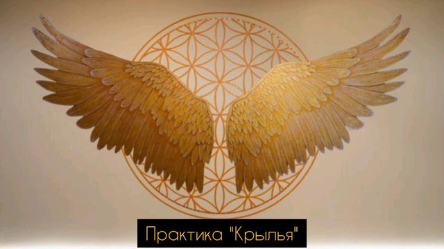 Родовая практика СИЛА РОДА