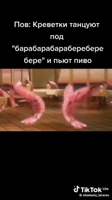 1000011315.mp4
