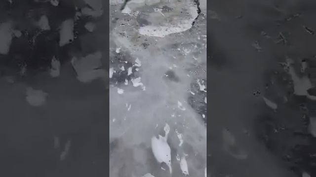Донские озера ужас
