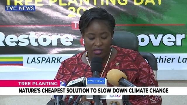 Tree Planting To Slow Down Climate Change