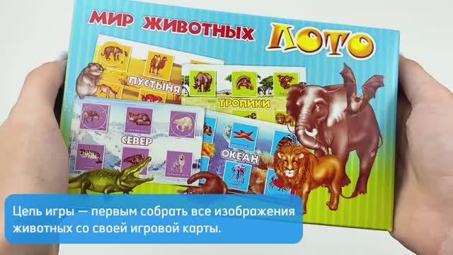 Лото «Мир животных»