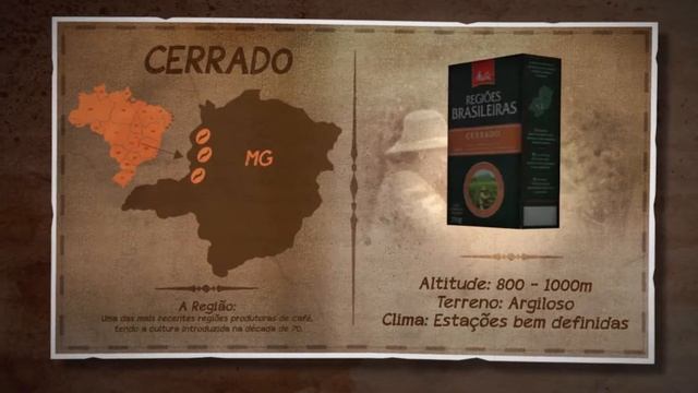 Regiões Brasileiras